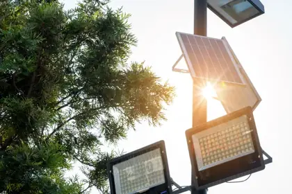 Solar panel with sunlight flare and tree branches in the background
